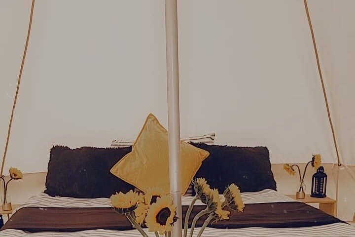 Private Luxury Picnic Experience in Hollywood - Photo 1 of 7